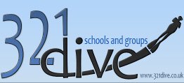 321dive