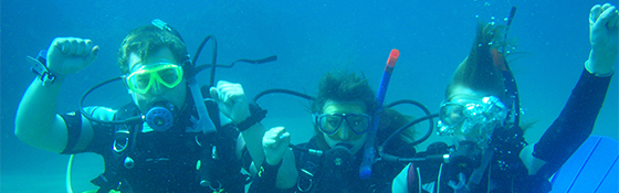 School dive trip