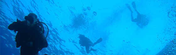 School diving trip
