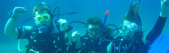 School dive trip