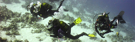 School diving trip in Lanzarote