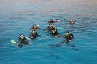 school dive trip