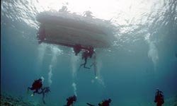 school dive trip in Sharm